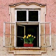 Window, Salzburg